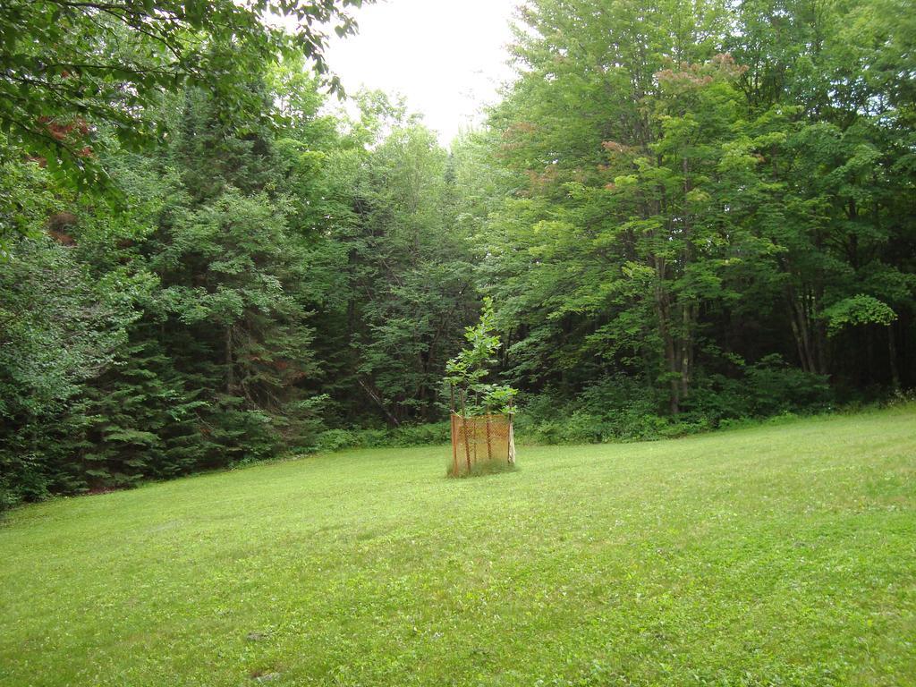 Grandpa Jim'S Cabin Montreal Eksteriør billede